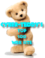 VISIT CYBER TEDDY